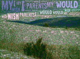 I wish my parents would