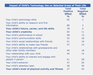 21 C Parenting Concerns