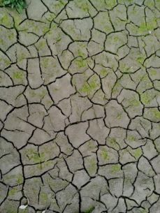 dry-cracked-earth-texture-408x544