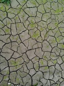 dry-cracked-earth-texture-408x544